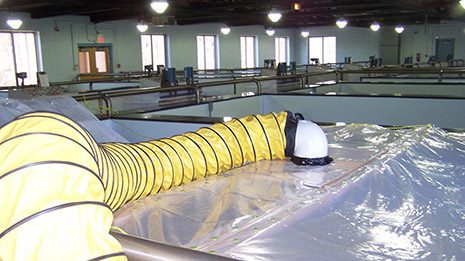 Filter Media Restoration by Acidizing